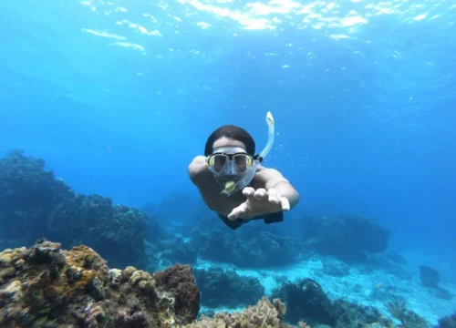 Marsa Mubarak Bay Schildkröten und Dugongs