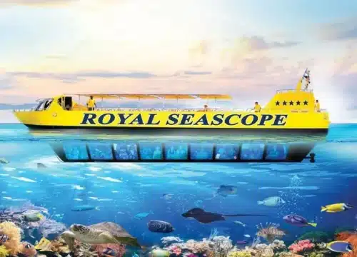Glasbodenboot in Hurghada