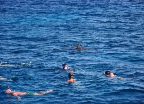 Wie Marsa Alam zur Tauchhauptstadt Ägyptens wurde