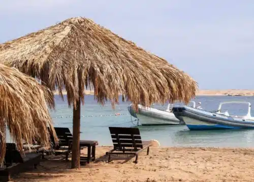 Familienausflüge am Roten Meer – Spaß, Abenteuer und Erholung für Groß und Klein
