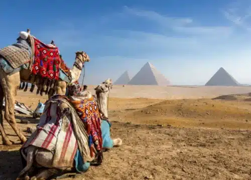 Die besten Tagesausflüge für Natur- und Tierliebhaber in Ägypten