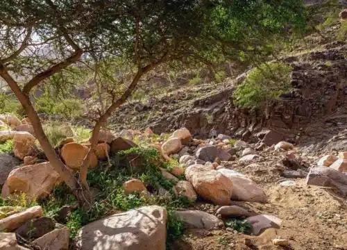 Emotionale Reiseerlebnisse in Ägypten: Landschaften, Wüstenstille und besondere Naturmomente