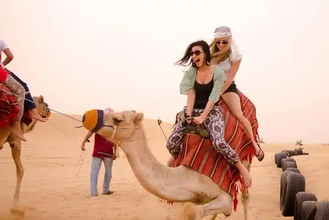 https://media-cdn.tripadvisor.com/media/attractions-splice-spp-674x446/09/ea/7b/cf.jpg