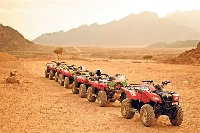 https://media-cdn.tripadvisor.com/media/attractions-splice-spp-674x446/09/59/a6/e1.jpg