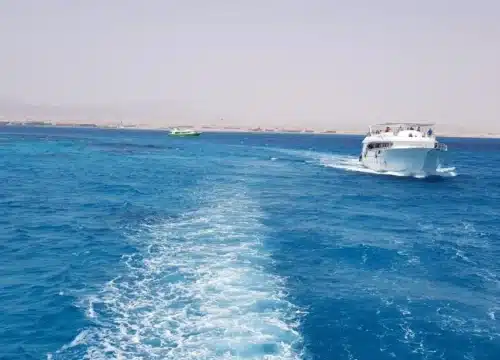 Utopia Insel VIP