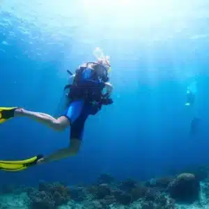 Geführte Bootstour zum Tauchen und Schnorcheln mit Mittagessen und Getränken