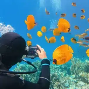 Geführte Bootstour zum Tauchen und Schnorcheln mit Mittagessen und Getränken