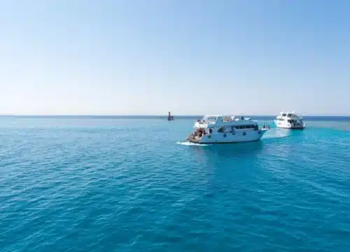 Geführte Bootstour zum Tauchen und Schnorcheln mit Mittagessen und Getränken