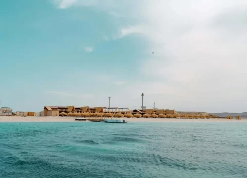 Schnorcheltrip zur Insel Eden mit Mittagessen und Abholung