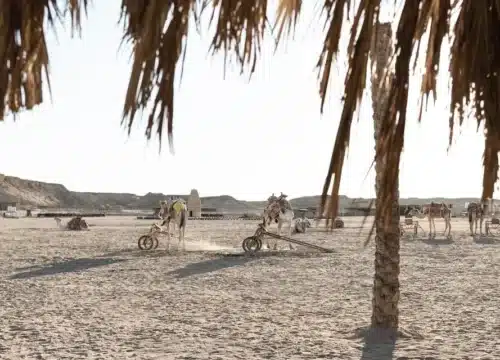 Quad 5 Stunden Sonnenuntergang