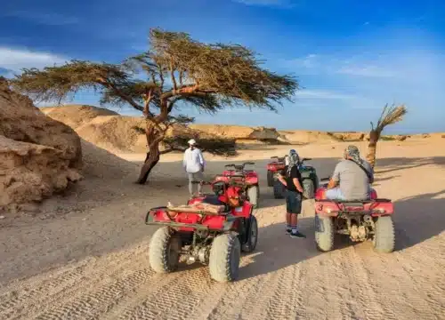 Super Safari ab Marsa Alam