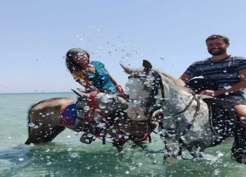 Rotes Meer & Wüste Reittour mit Schwimmen 1 oder 2 Stunden