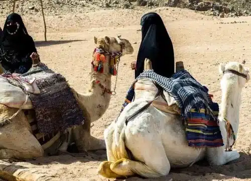 Sunset Car Buggy Tours Marsa Alam