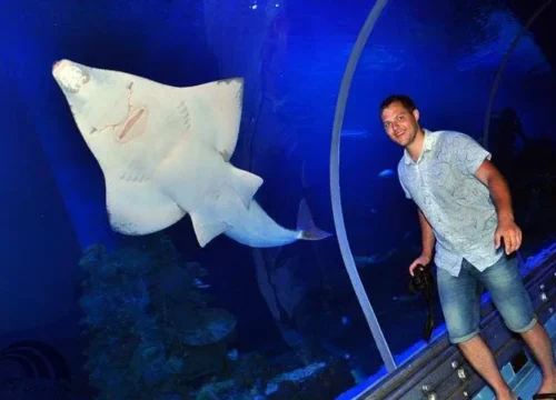 Eintrittskarte zum Hurghada Grand Aquarium mit privater transfer
