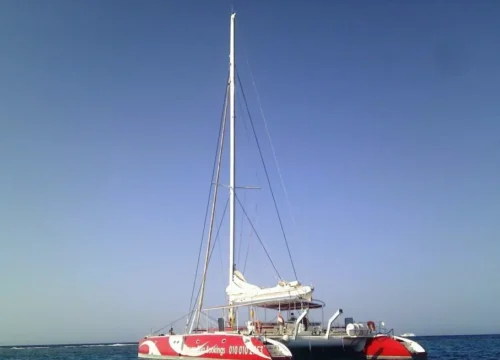 Ocean Diva Katamaran El Gouna (Delfinhaus)