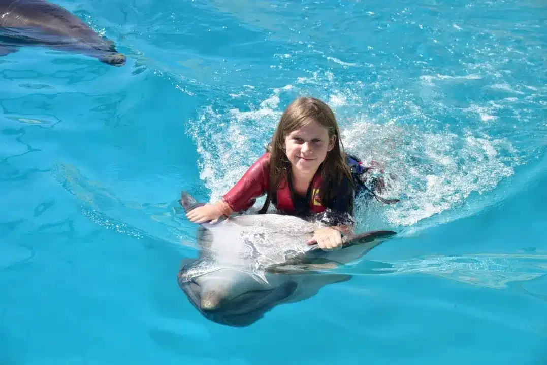 Show im Dolphin World mit zusätzlicher Fotosession zum Schwimmen