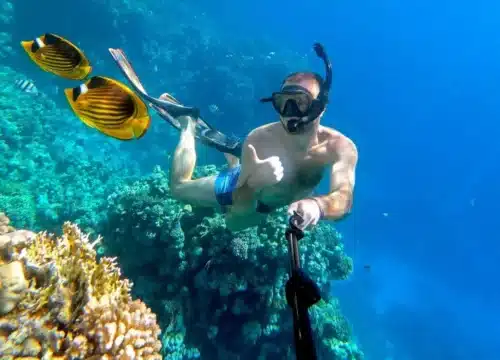 Schnorcheln im Roten Meer – Die faszinierende Unterwasserwelt entdecken