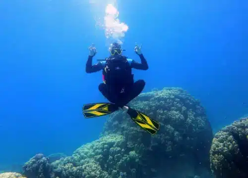 Die Kunst der Meeresfotografie – Tipps für Reisende, um unvergessliche Momente festzuhalten