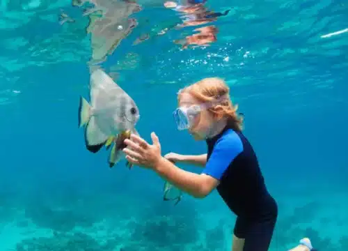 Familienerlebnisse auf dem Wasser – gemeinsame Momente, die verbinden