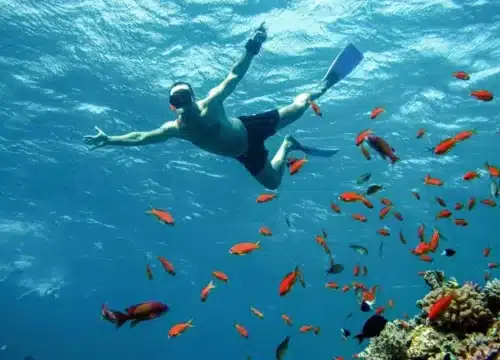 Tagesausflüge zu den Giftun-Inseln – Naturerlebnisse, Highlights und alles, was Sie wissen müssen