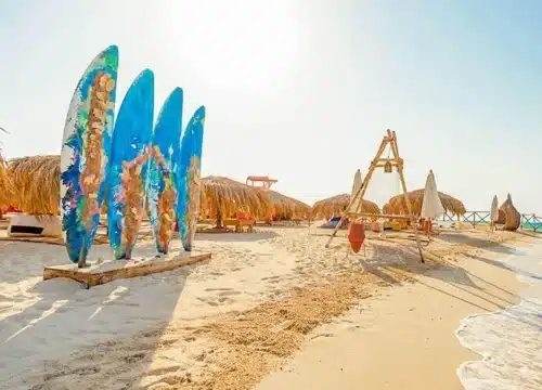 🐠 Schnorcheln auf der Paradise-Insel – Ein unvergesslicher Tag im Roten Meer