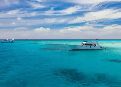 Die schönsten Inseln im Roten Meer und die besten Bootstouren