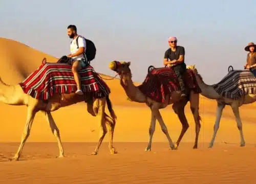 Halbtagesausflüge und Wüstentouren: Perfekte Kombination für Kurzaufenthalte in Ägypten