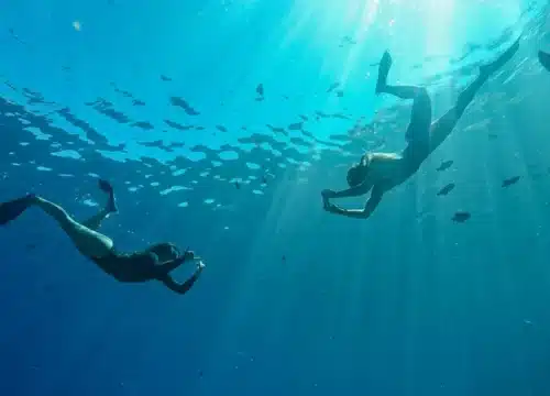 Die besten Schnorchelspots für Anfänger und Fortgeschrittene