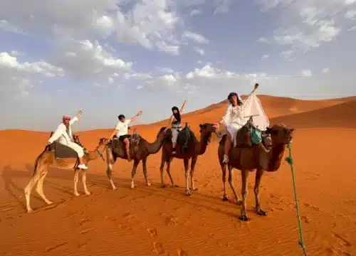 Ein unvergesslicher Tag: Ausflüge, die Meer, Kultur und Wüste verbinden