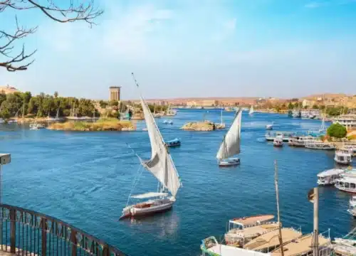 Reisen ohne Show – Touren, die bewusst auf Unterhaltung verzichten