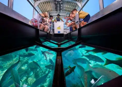 Ausflüge mit Balance – Erlebnisse, die sich perfekt mit Freizeit am Hotel kombinieren lassen