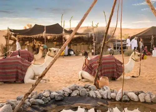 Authentische Begegnungen mit Beduinen: Kultur, Tradition und Tourismus