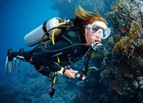 Unter der Oberfläche: Warum das Rote Meer das ultimative Tauchabenteuer ist