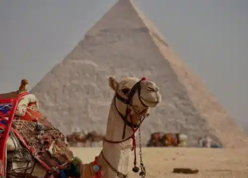 Ägypten als Reiseziel für neugierige, beobachtende Reisende (mit Übergangswörtern)