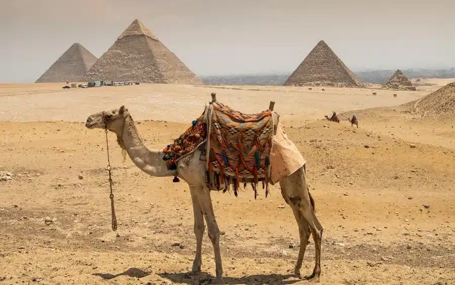 https://cdn-imgix.headout.com/media/images/6c99392f4f69c158689d812788c66c40-20416-cairo-full-day-tour-visit-pyramids--sphinix--saqqara-and-dahsour-07.jpg?ar=16%3A10&auto=format&crop=faces%2Ccenter&fit=crop&h=562.5&q=90&w=900