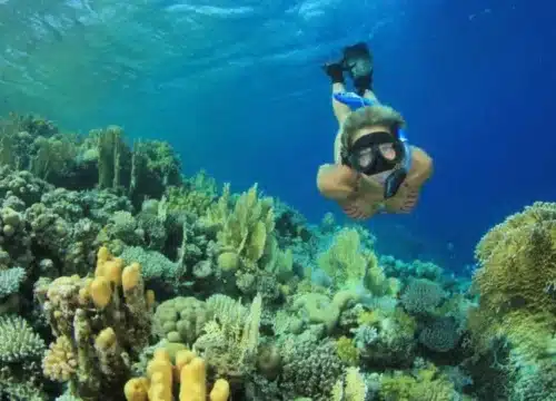 Schnorcheln im Roten Meer – Die schönsten Orte rund um Hurghada