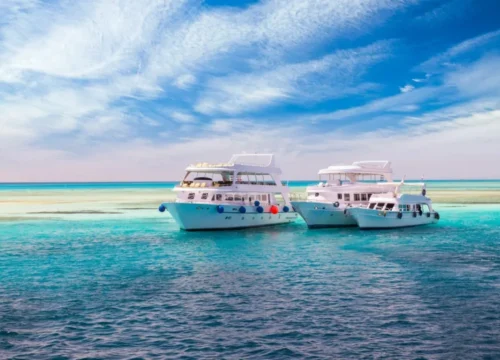 Bootsausflüge im Roten Meer – Die schönsten Erlebnisse