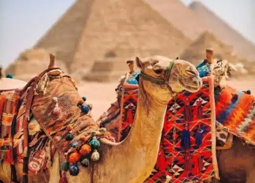 Was macht Ägypten zu einem ganzjährigen Reiseziel?