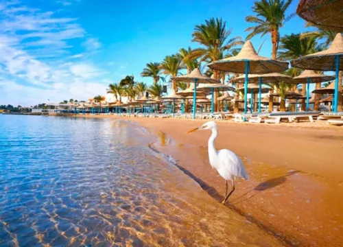 Hurghada entdecken – Die schönsten Sehenswürdigkeiten und Aktivitäten