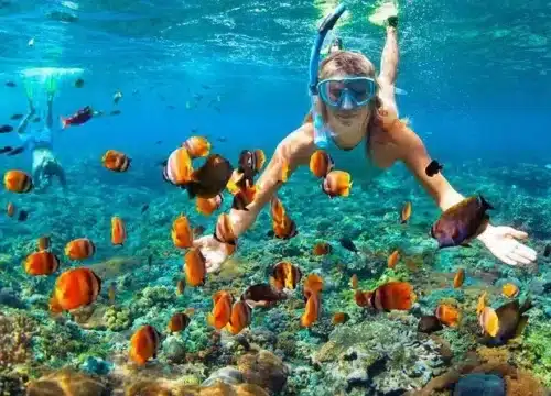 Die besten Möglichkeiten, das Rote Meer aktiv zu erleben