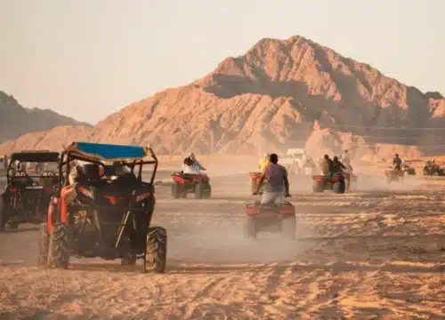 Ein Tag in der Wüste – Was macht eine Safari in Ägypten so besonders?