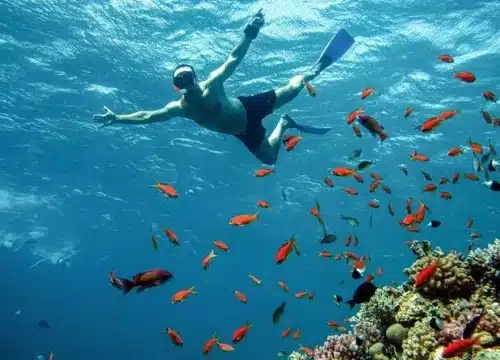 Ägypten und das Rote Meer – Warum das Meer mehr als nur Strandurlaub bietet