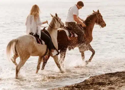 Reiten in Ägypten – Meer, Wüste