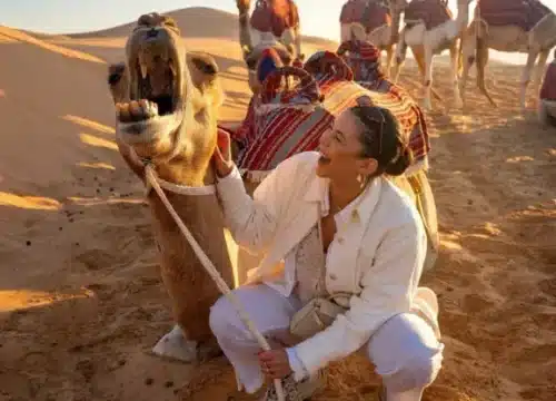 Mit dem Kamel durch die Wüste – Tradition und modernes Reiseerlebnis in Ägypten